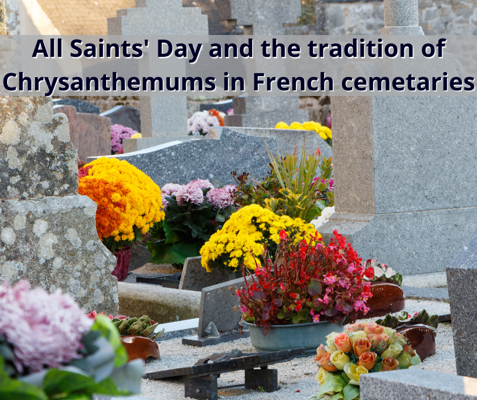 all saints day & chrysanthemums